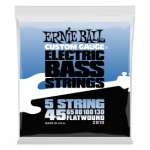 Ernie Ball 2810 Flatwoond Bass 5 String