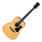 Ibanez V50N NAT