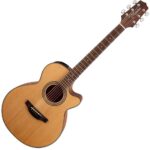 Takamine GF15CE NAT