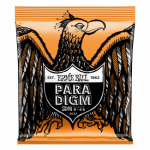 Ernie Ball 2022 Paradigm Slinky