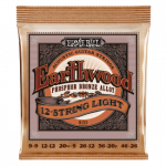 Ernie Ball 2153 Earthwood 12 String