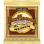 Ernie Ball 2002 Earthwood Bronze Medium