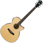 Ibanez AEG10 II Natur