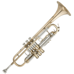 Yamaha YTR-01M